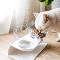 Comedero Elevado e Inclinado para Gatos